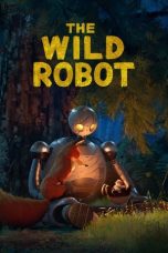 Animation Movies